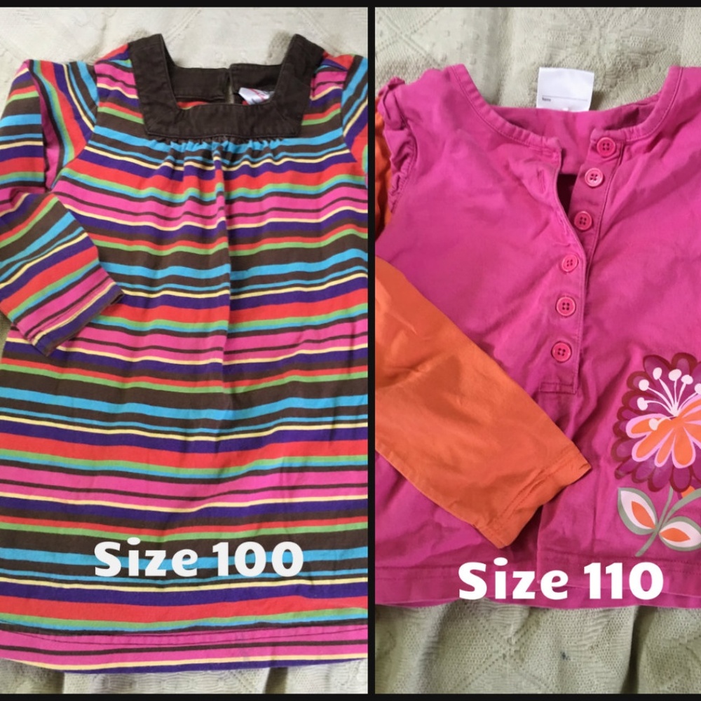 (2) Hanna Andersson shirts - size 100, 110 (~5T)